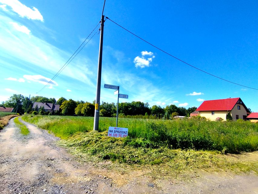 Działka Chojnów