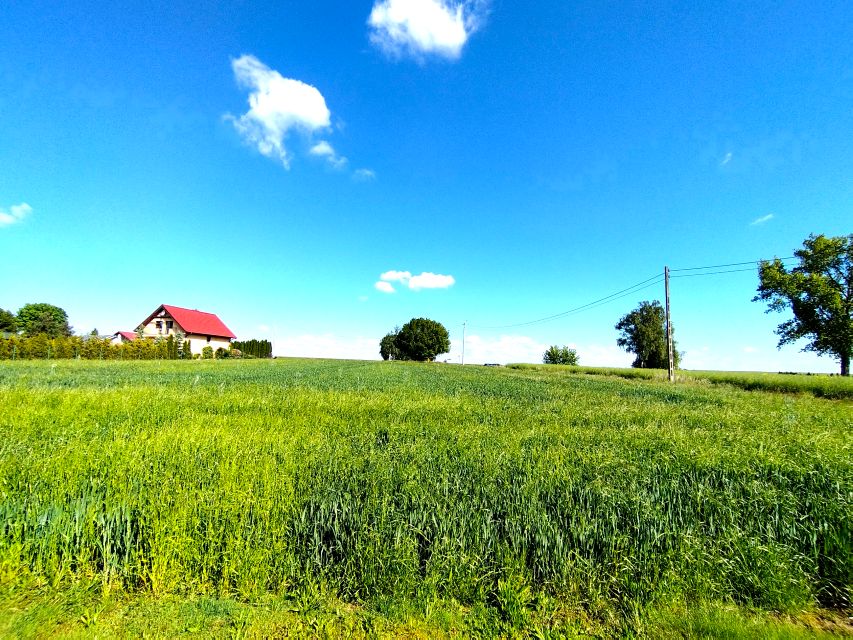 Działka Chojnów