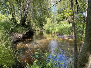 Działka CHOCISZEW