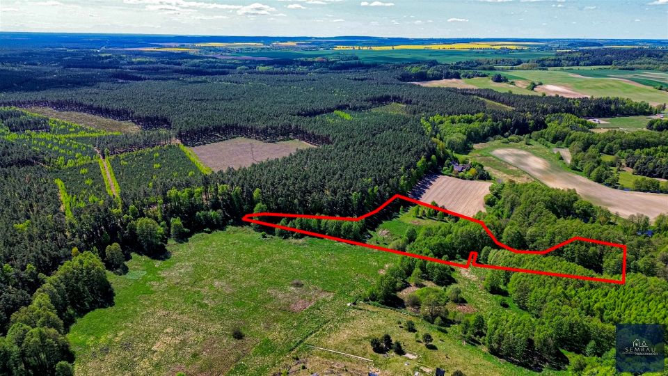 Działka siedliskowa Zabrodzie