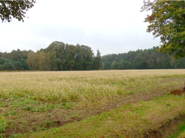Działka rolna Łubniany