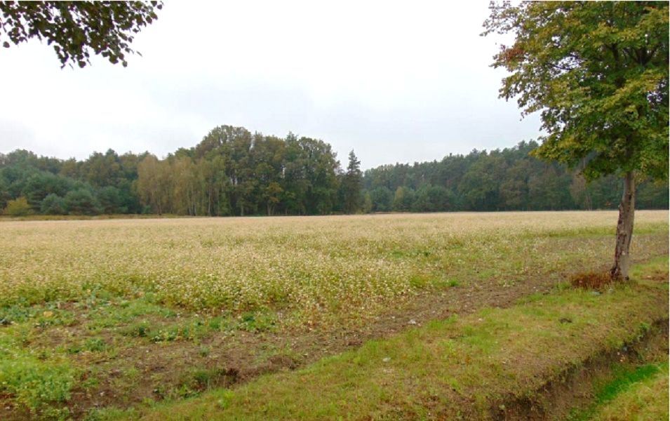 Działka rolna Łubniany