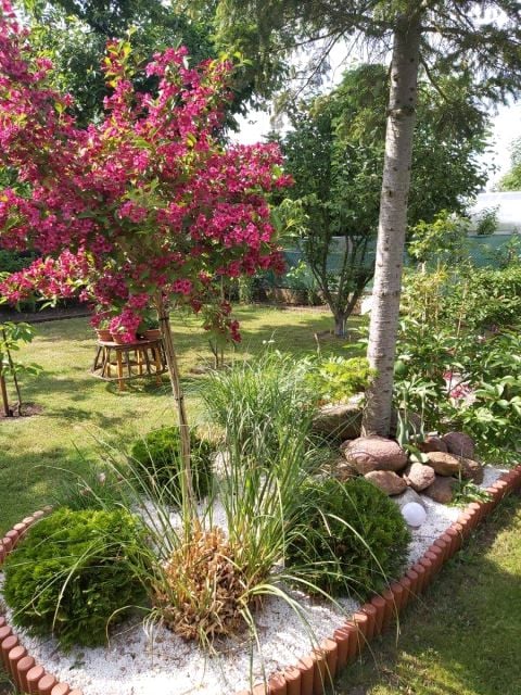 Działka rekreacyjna Poznań