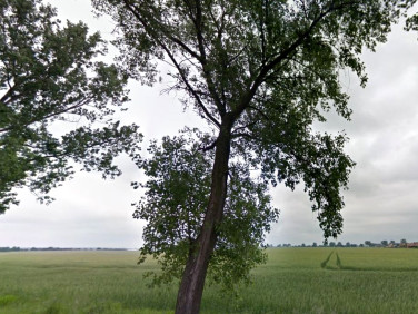 Działka budowlana Środa Wielkopolska
