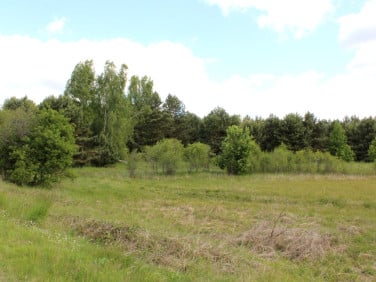 Działka rolna Jodłów