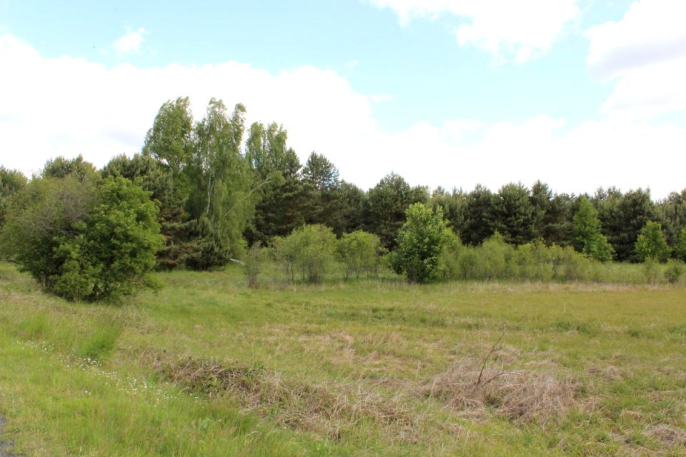 Działka rolna Jodłów