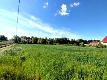 Działka Chojnów