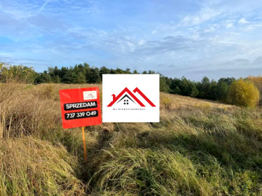 Działka Szabda