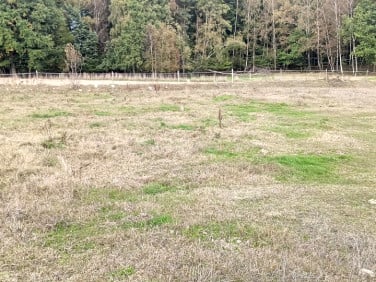 Działka budowlana Szemudzka Huta