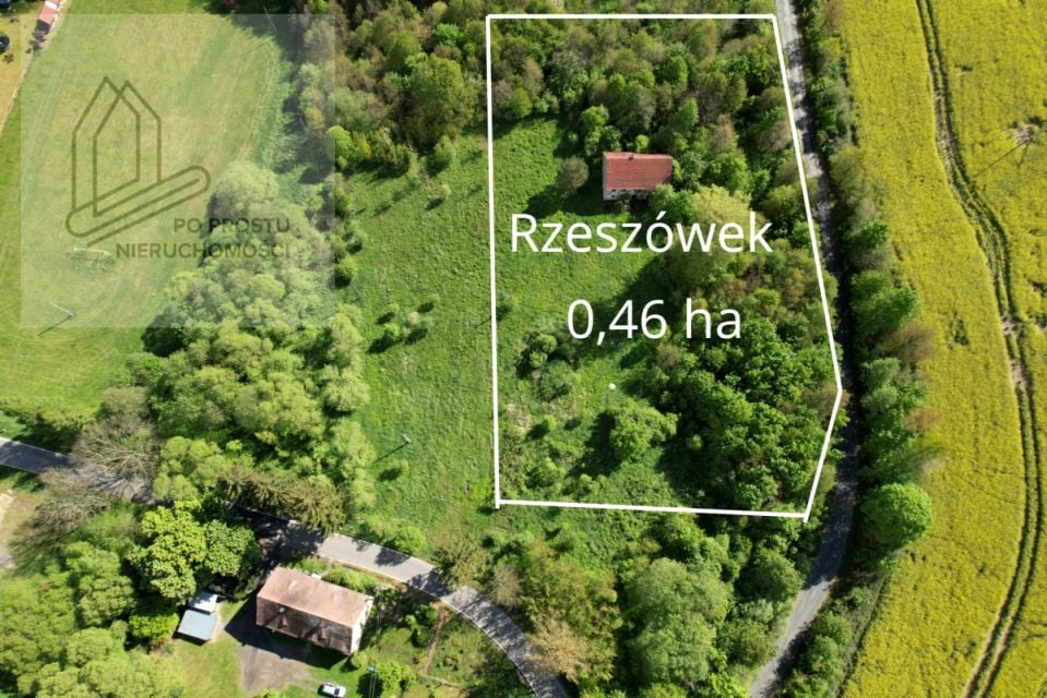 Zdjęcie 2