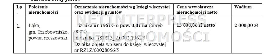 Działka Łąka