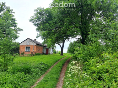 Działka Osiny