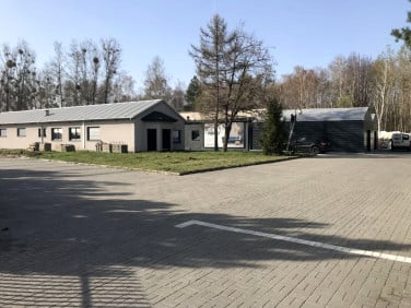 Lokal Konin