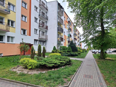 Mieszkanie Łódź