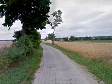 Działka Żuława
