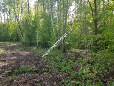 Działka Stare Budy Radziejowskie