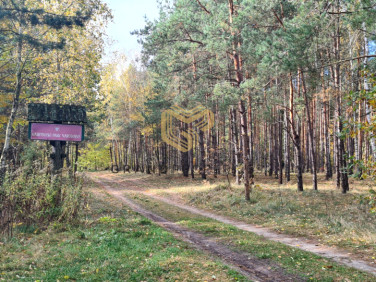 Działka budowlana Wólka