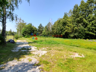 Działka Piskórka