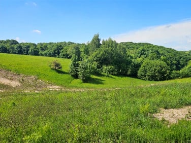 Działka rekreacyjna Jerzmanowice