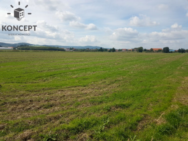 Działka budowlana Paszowice