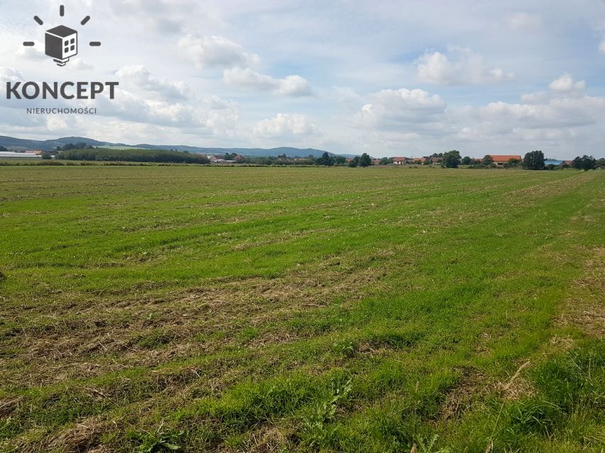Działka budowlana Paszowice
