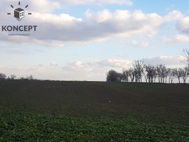 Działka budowlana Piotrowice
