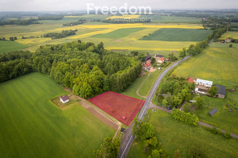 Działka Barty