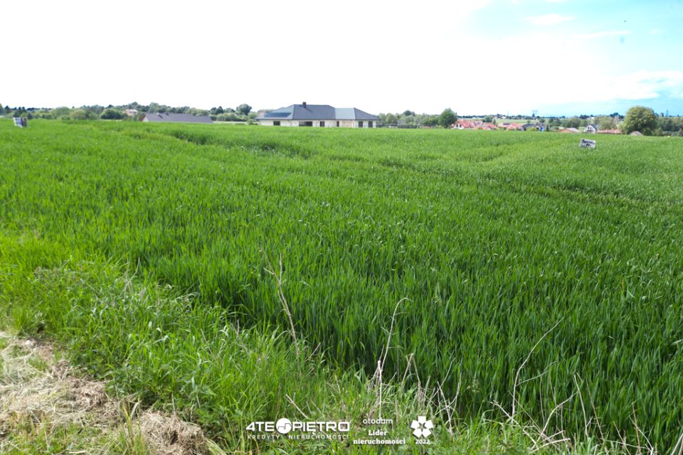 Działka JAKUBOWICE KONIŃSKIE-KOLONIA
