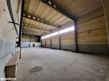 Lokal Lublin