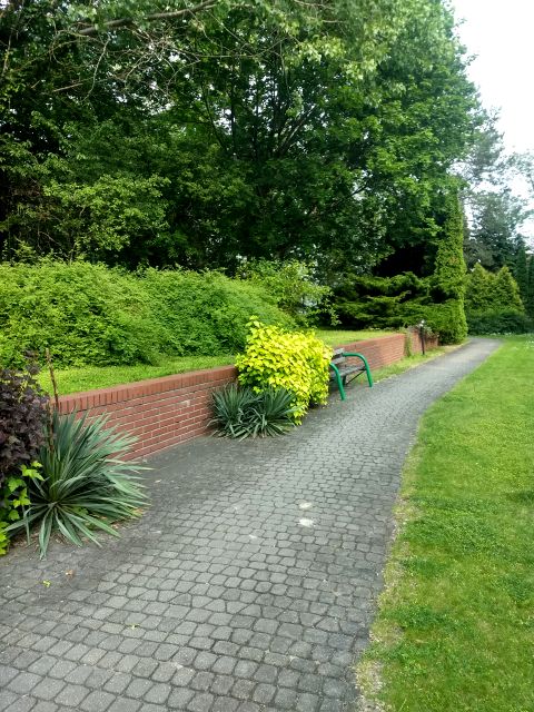 Mieszkanie przy lesie