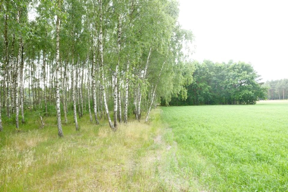 Zdjęcie 3