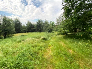 Działka inna Michałów