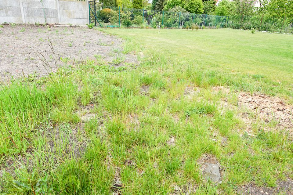 Działka budowlana Szczecin