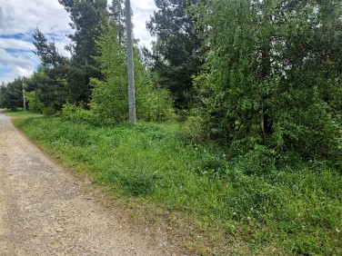 Działka budowlana Pierzchno