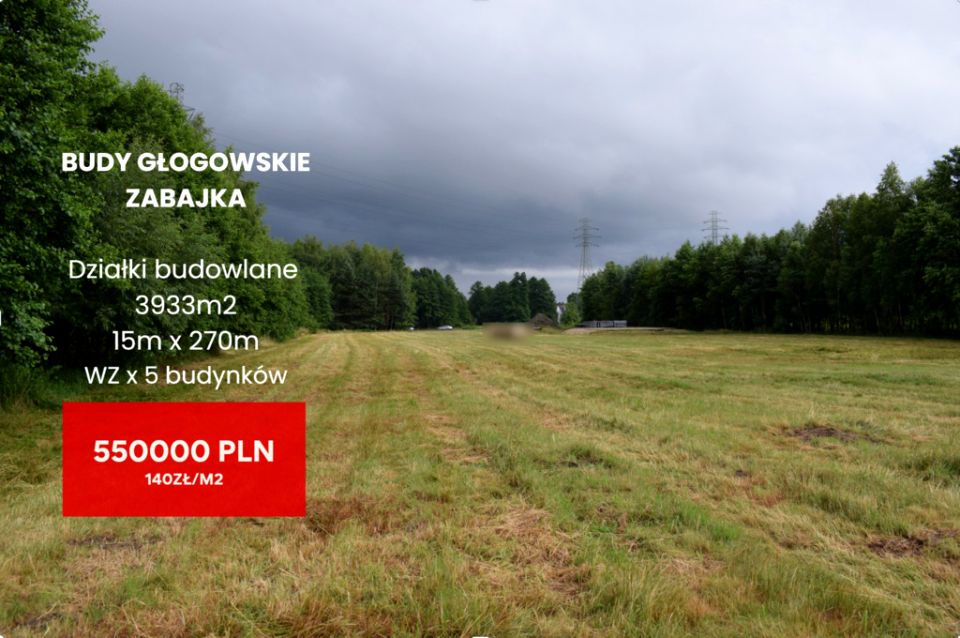 Działka budowlana Budy Głogowskie