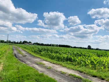 Działka budowlana Zławieś Mała