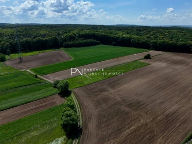 Działka budowlana Racibórz