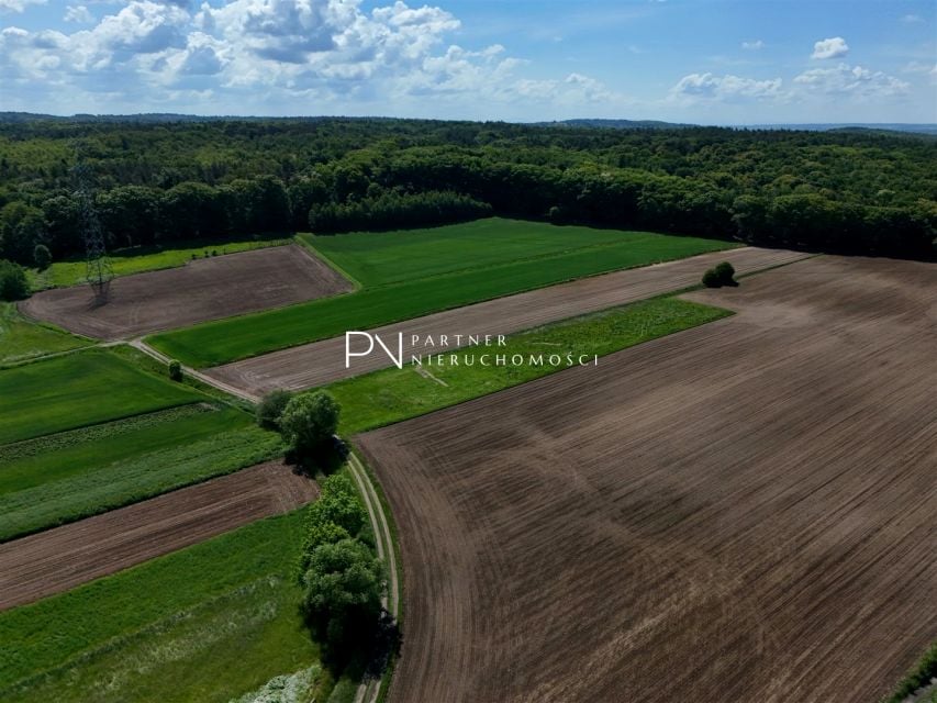Działka budowlana Racibórz