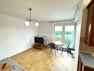 Mieszkanie apartamentowiec wynajem