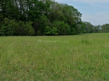 Działka budowlana Zborowo sprzedam