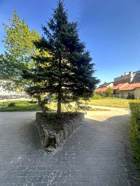 Mieszkanie blok mieszkalny nad morzem