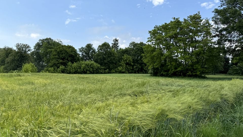 Działka inwestycyjna Garnowo Duże