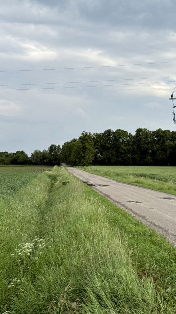 Zdjęcie 2