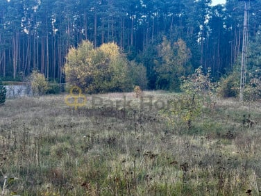 Działka Rudno