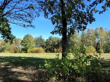 Działka inna Suchleb sprzedam