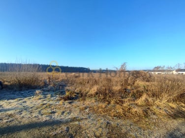 Działka Luciny