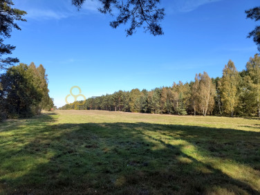 Działka Suchleb