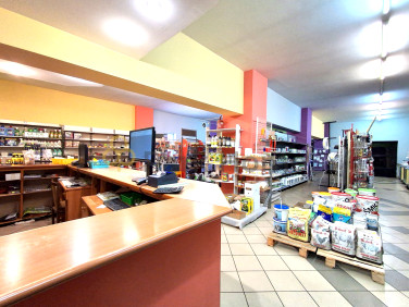 Lokal Gozdnica