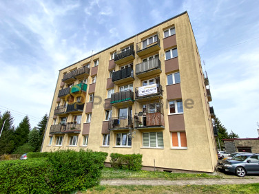 Mieszkanie Babimost