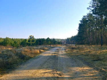 Działka Rajczyn